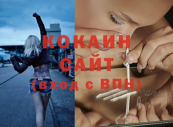 стаф Верея