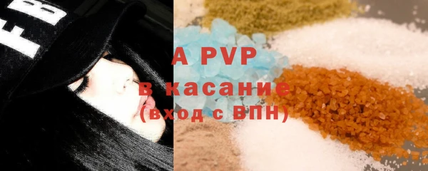 стаф Верея