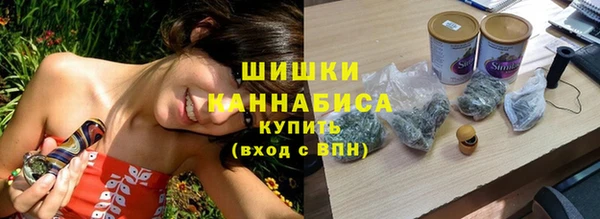 стаф Верея